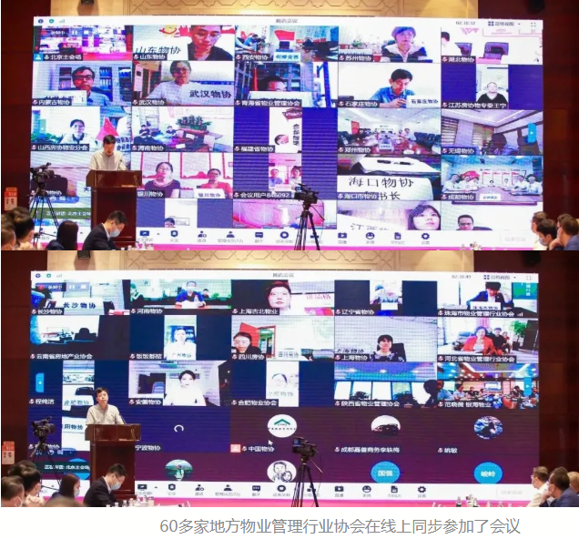 苏宁豆芽图片20210801093849.png